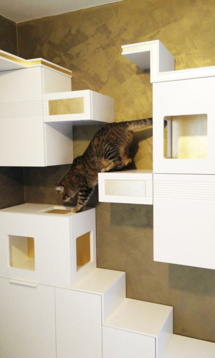 Gatti in casa. Progetto spazi condivisi per una convivenza gioiosa