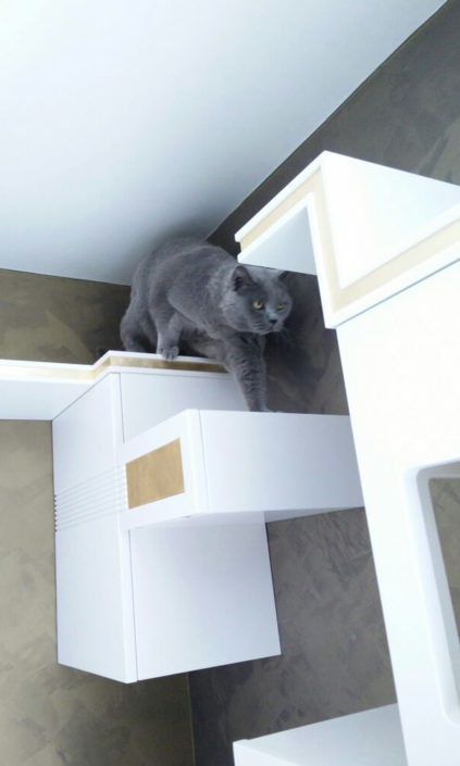 Marcello Gennari progetta mobili e percorsi per arricchimento ambientale gatti
